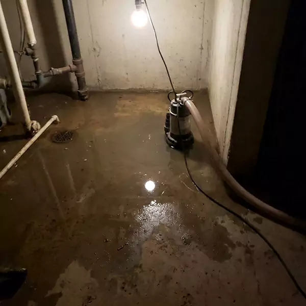 Basement Flood Clean Up in Lauderhill, FL