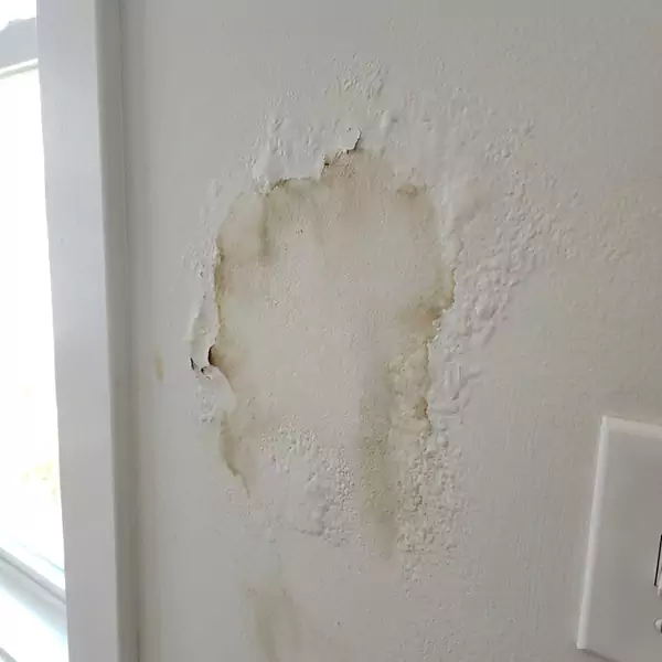 Expert Drywall Water Damage Repair in Lauderhill, FL
