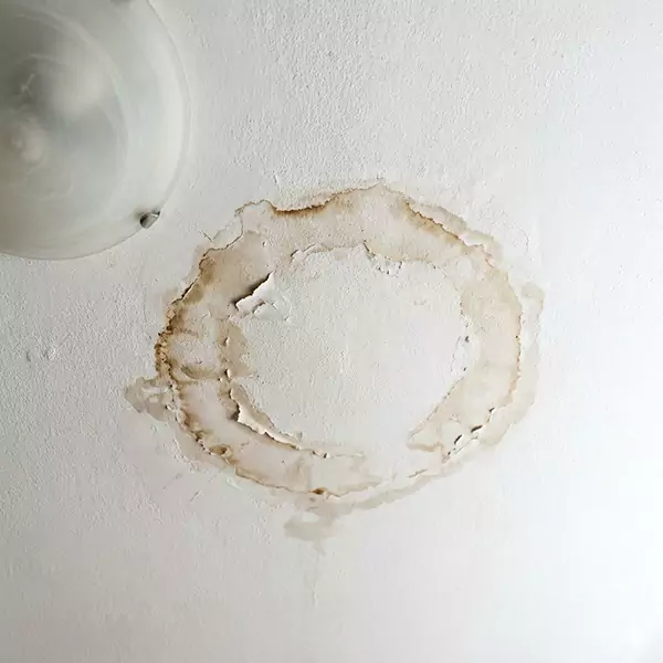 Leaking Ceiling Repair in Lauderhill, FL 