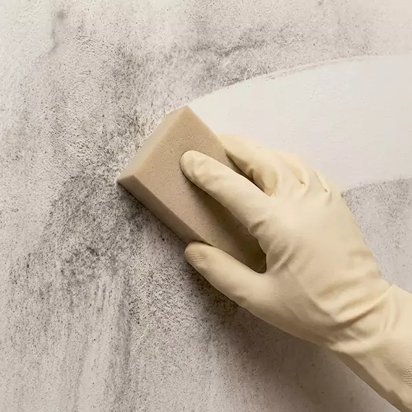 Smoke Cleaning in Lauderhill, FL 