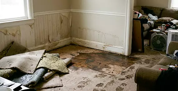 Why Choose Lauderhill Water Damage Restoration For Water Damage Restoration Services in Lauderhill, FL?