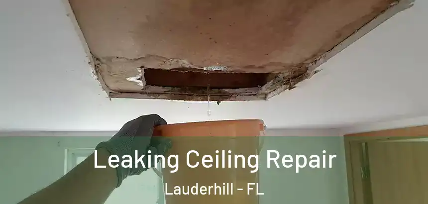 Leaking Ceiling Repair Lauderhill - FL
