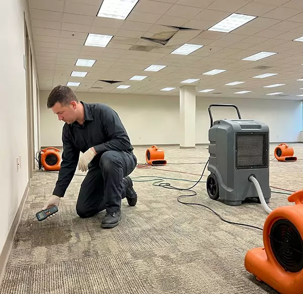 Why Businesses Choose Lauderhill Water Damage Restoration for Commercial Water Damage in Lauderhill, FL?