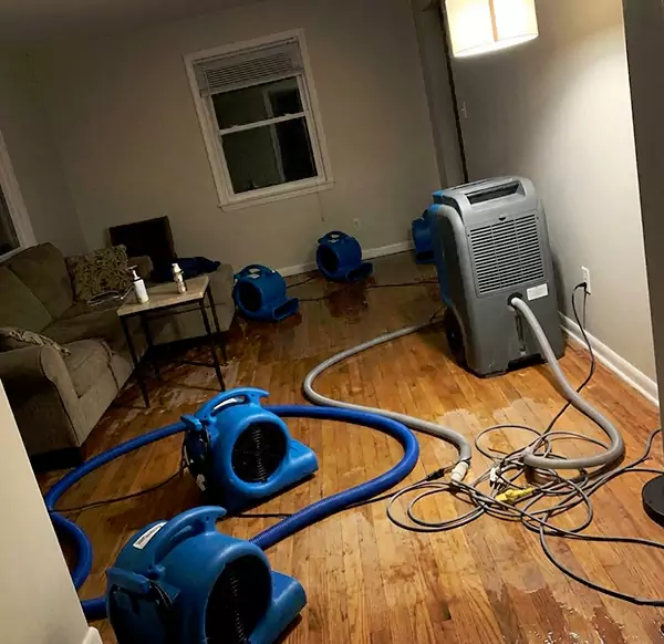 Why Homeowners & Businesses Choose Lauderhill Water Damage Restoration for Emergency Water Restoration in Lauderhill, FL?